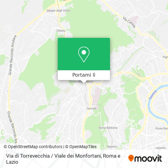 Mappa Via di Torrevecchia / Viale dei Monfortani