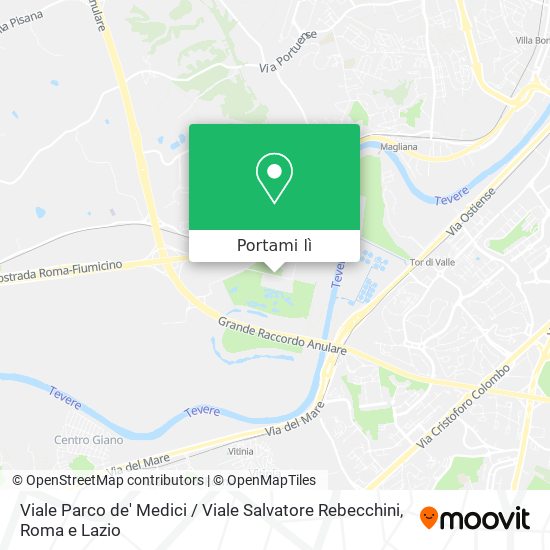 Mappa Viale Parco de' Medici / Viale Salvatore Rebecchini