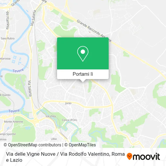 Mappa Via delle Vigne Nuove / Via Rodolfo Valentino
