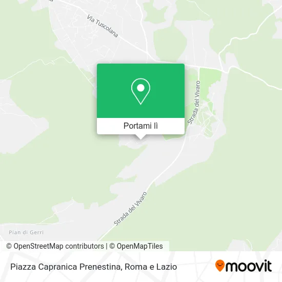 Mappa Piazza Capranica Prenestina