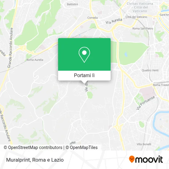 Mappa Muralprint