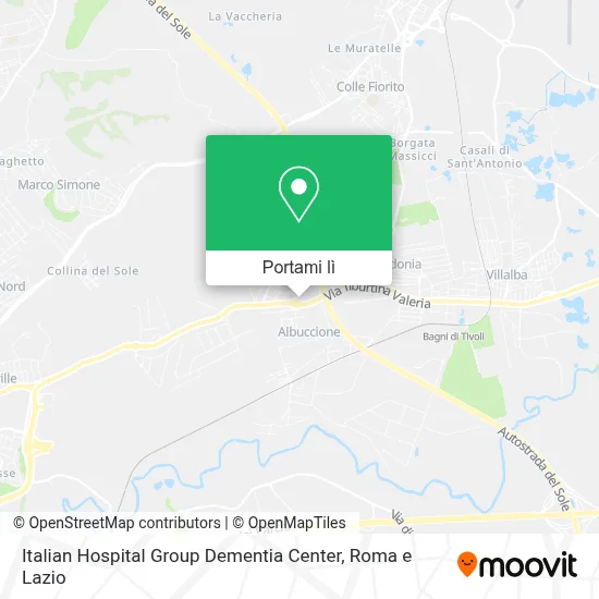 Mappa Italian Hospital Group Dementia Center