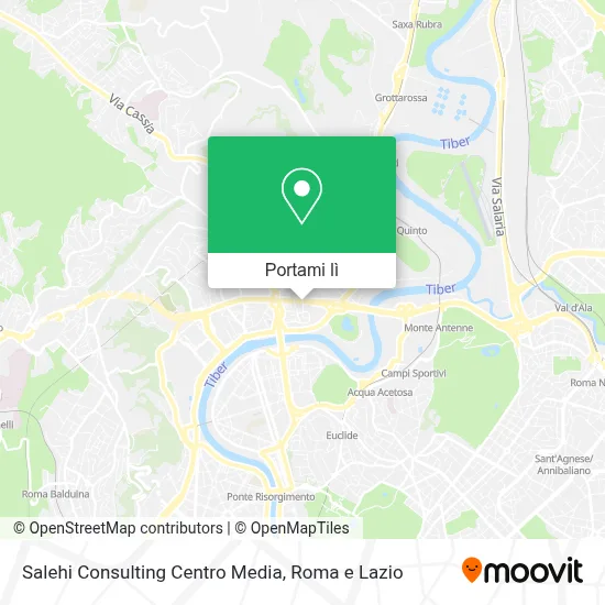 Mappa Salehi Consulting Centro Media