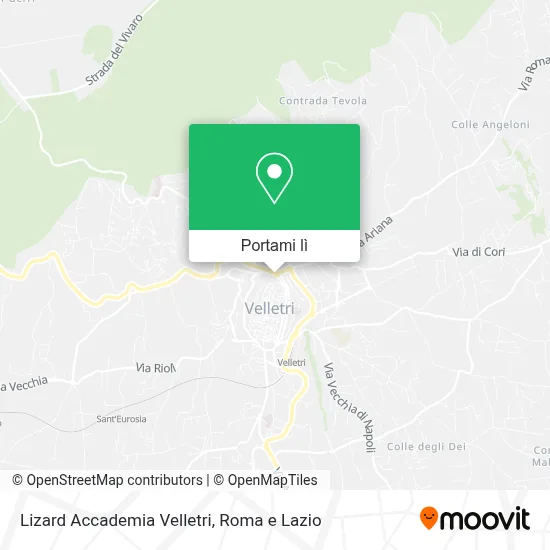 Mappa Lizard Accademia Velletri