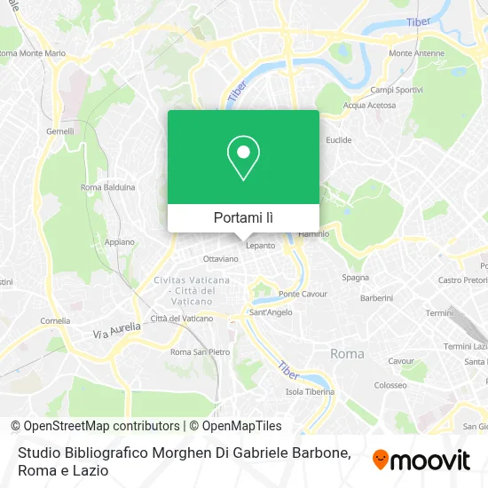 Mappa Studio Bibliografico Morghen Di Gabriele Barbone