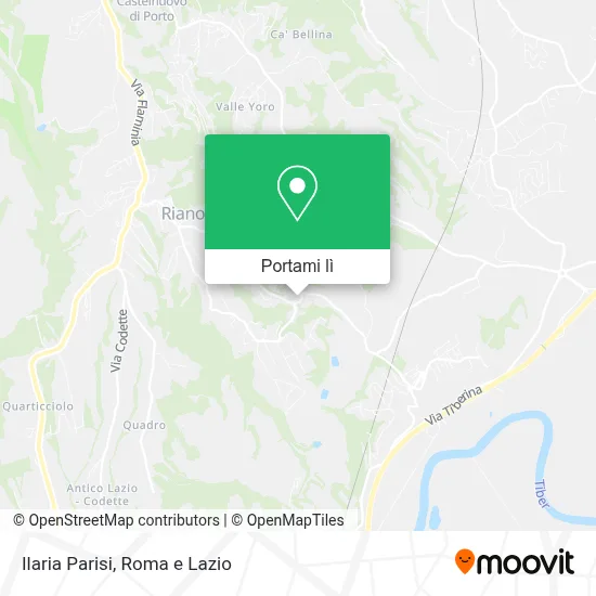 Mappa Ilaria Parisi