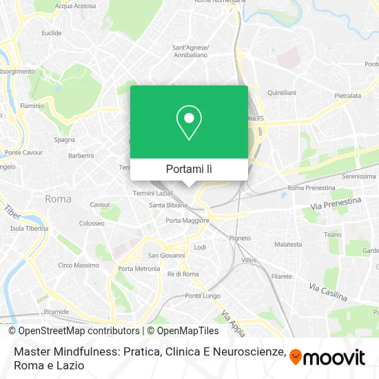 Mappa Master Mindfulness: Pratica, Clinica E Neuroscienze