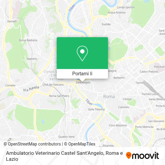 Mappa Ambulatorio Veterinario Castel Sant'Angelo