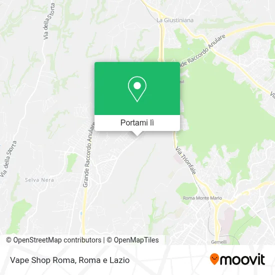 Mappa Vape Shop Roma