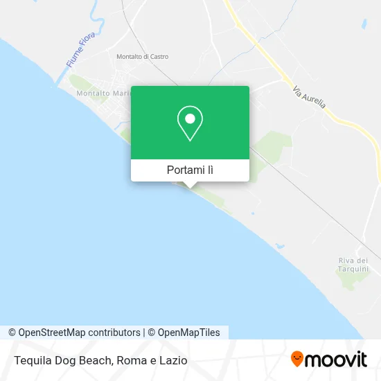 Mappa Tequila Dog Beach