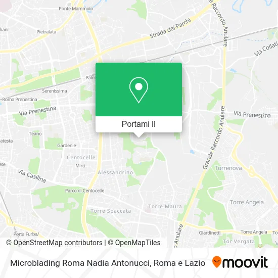 Mappa Microblading Roma Nadia Antonucci