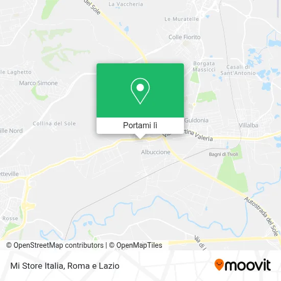 Mappa Mi Store Italia