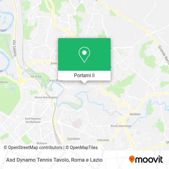 Mappa Asd Dynamo Tennis Tavolo