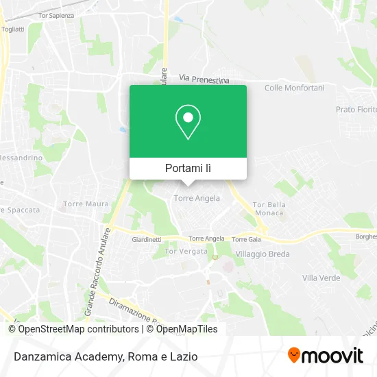 Mappa Danzamica Academy