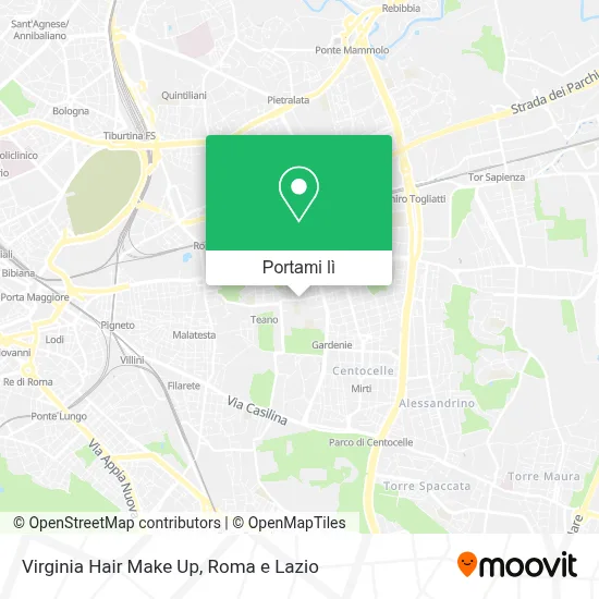 Mappa Virginia Hair Make Up
