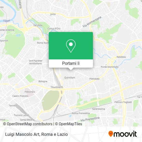 Mappa Luigi Mascolo Art