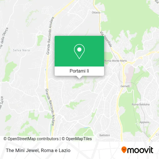 Mappa The Mini Jewel