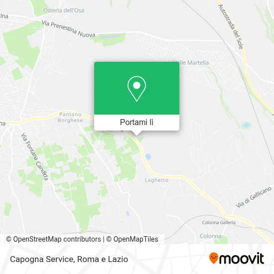 Mappa Capogna Service
