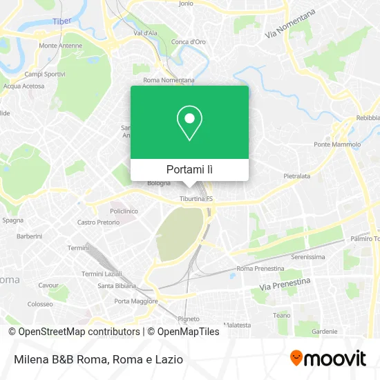 Mappa Milena B&B Roma
