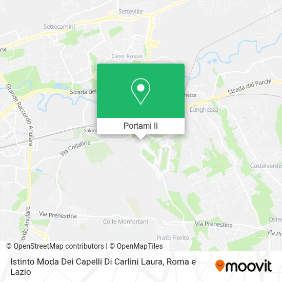 Mappa Istinto Moda Dei Capelli Di Carlini Laura