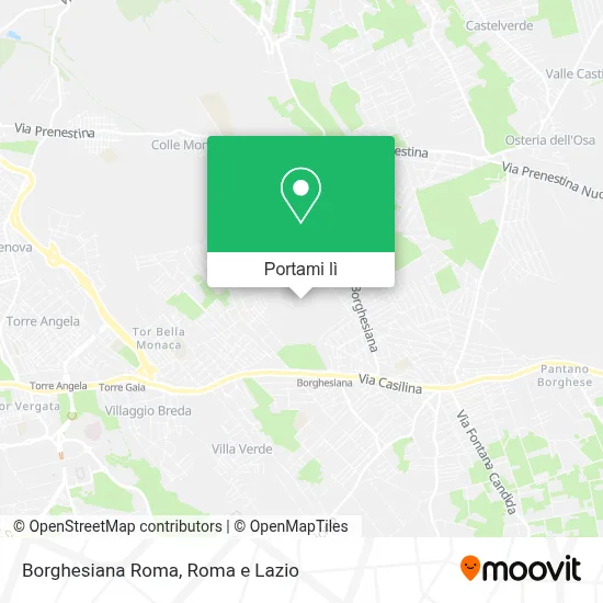 Mappa Borghesiana Roma