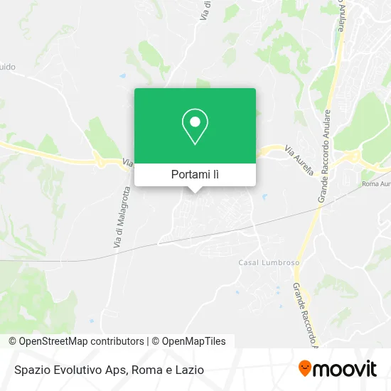 Mappa Spazio Evolutivo Aps