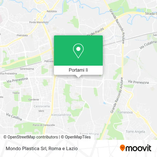 Mappa Mondo Plastica Srl