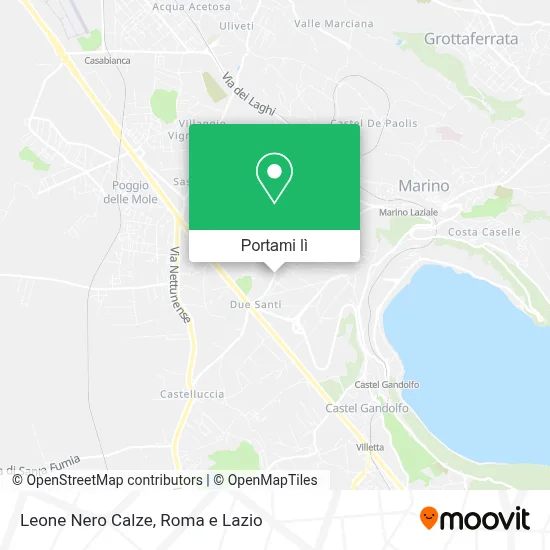 Mappa Leone Nero Calze