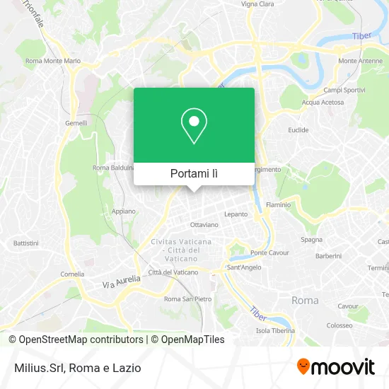 Mappa Milius.Srl