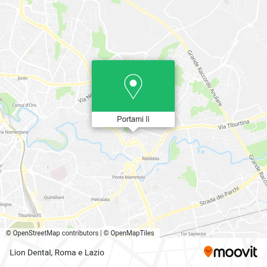Mappa Lion Dental