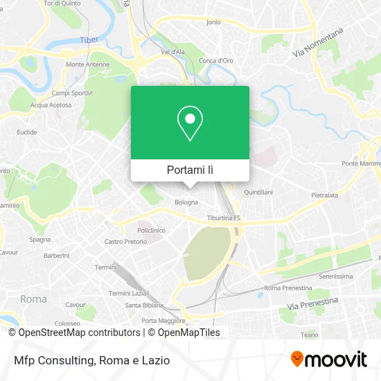 Mappa Mfp Consulting