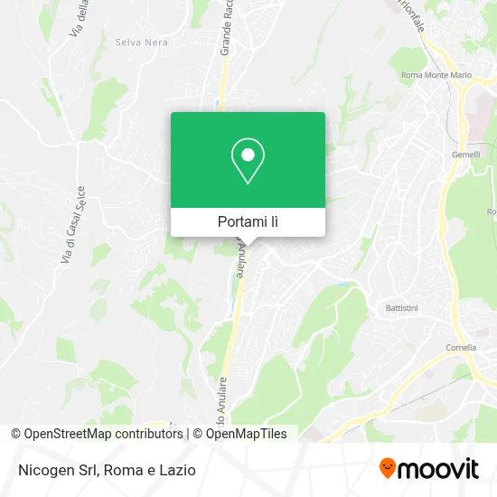 Mappa Nicogen Srl