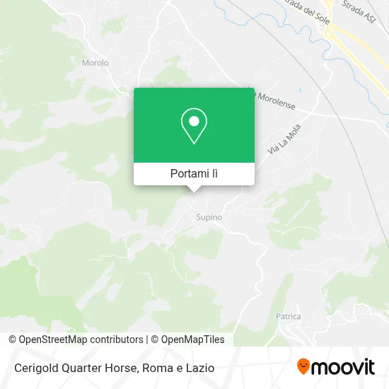 Mappa Cerigold Quarter Horse