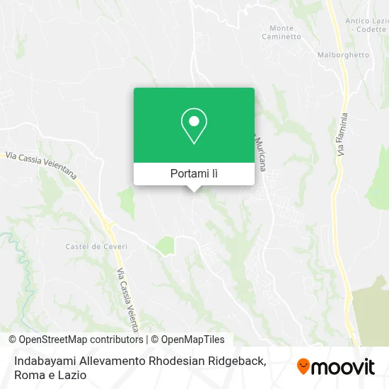 Mappa Indabayami Allevamento Rhodesian Ridgeback