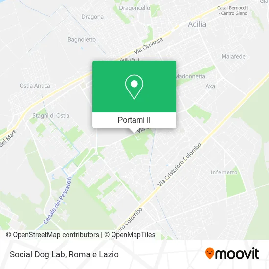 Mappa Social Dog Lab