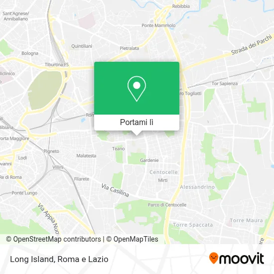 Mappa Long Island