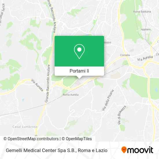 Mappa Gemelli Medical Center Spa S.B.
