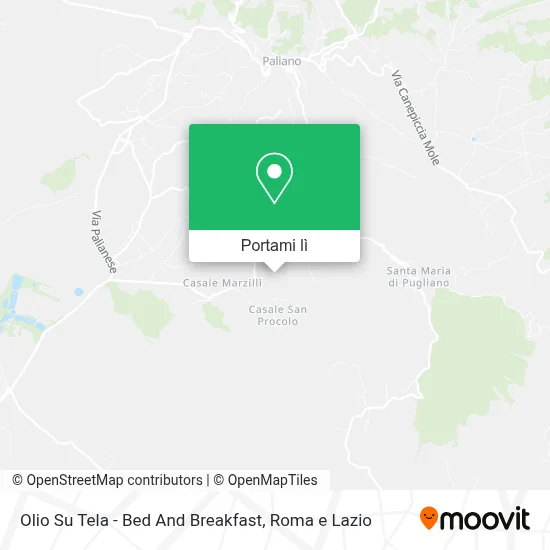 Mappa Olio Su Tela - Bed And Breakfast