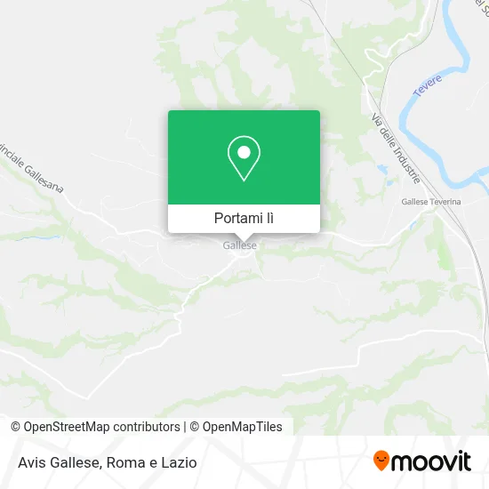 Mappa Avis Gallese