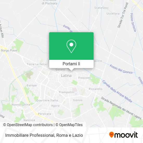 Mappa Immobiliare Professional