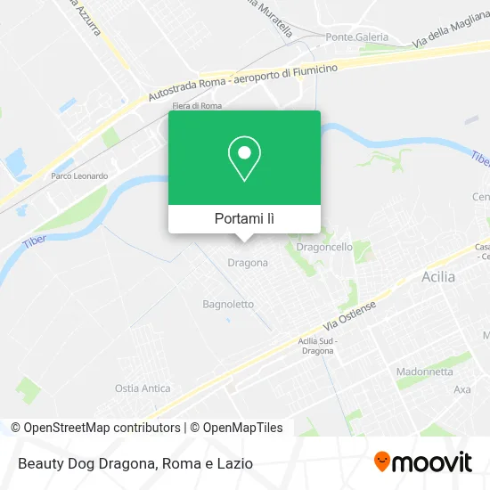 Mappa Beauty Dog Dragona