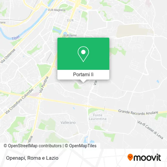 Mappa Openapi
