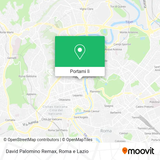 Mappa David Palomino Remax