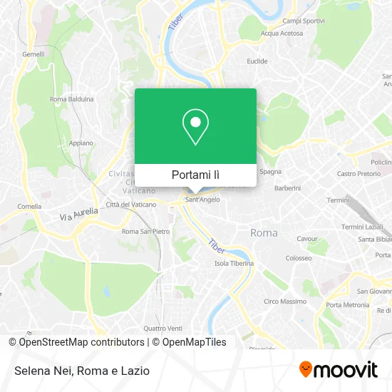 Mappa Selena Nei