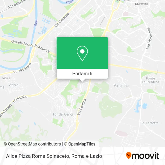 Mappa Alice Pizza Roma Spinaceto