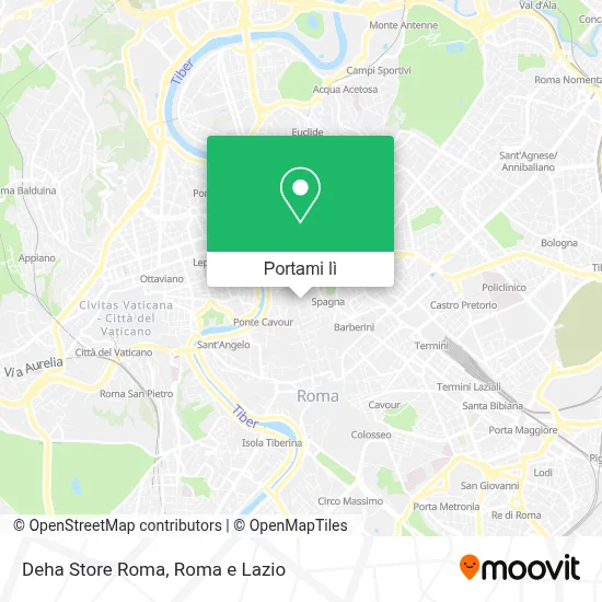 Mappa Deha Store Roma