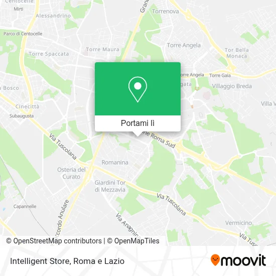 Mappa Intelligent Store