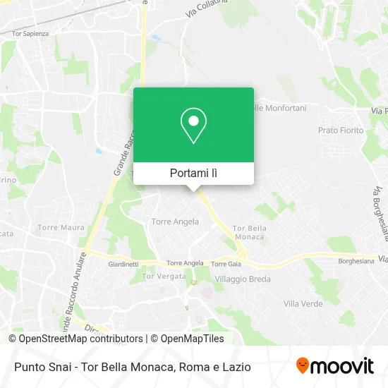 Mappa Punto Snai - Tor Bella Monaca