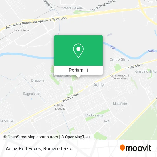 Mappa Acilia Red Foxes