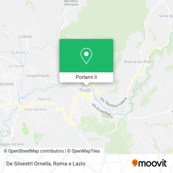 Mappa De Silvestri Ornella